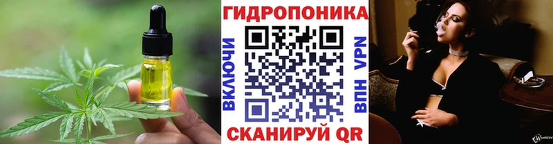 omg онион  Чадан  Печенье с ТГК конопля  цены  