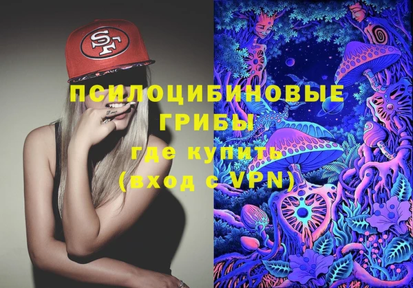 ECSTASY Алзамай