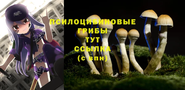 соль ск Гусиноозёрск