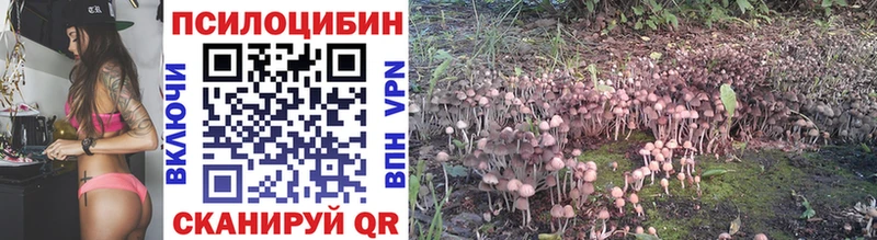 Псилоцибиновые грибы MAGIC MUSHROOMS  Чадан 